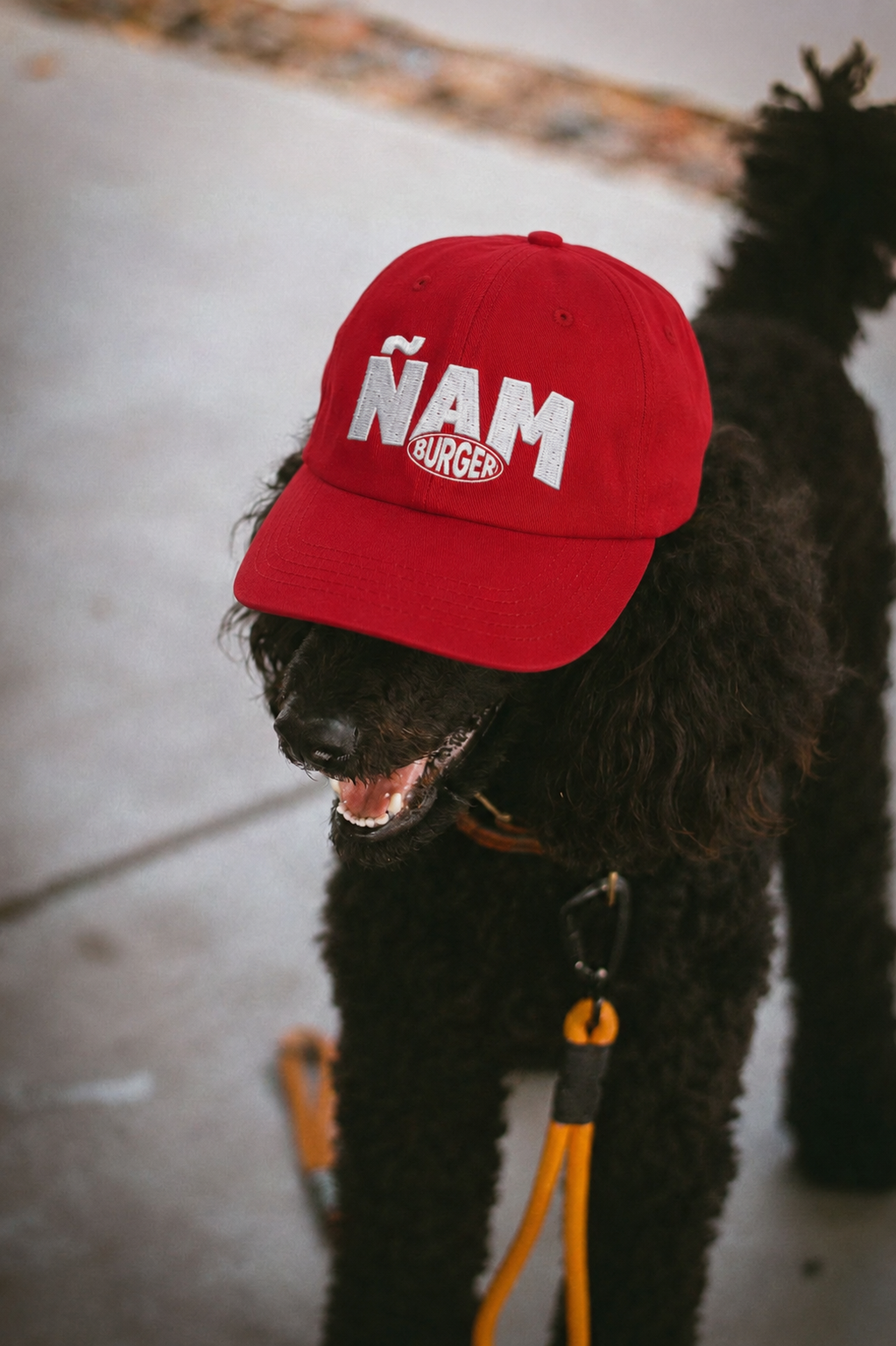 Gorra personalizada con bordado de logotipo corporativo