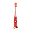 Cepillos de dientes clive