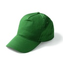 Gorras fides
