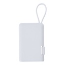 Power Bank Brandin