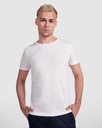 Camiseta Terrier